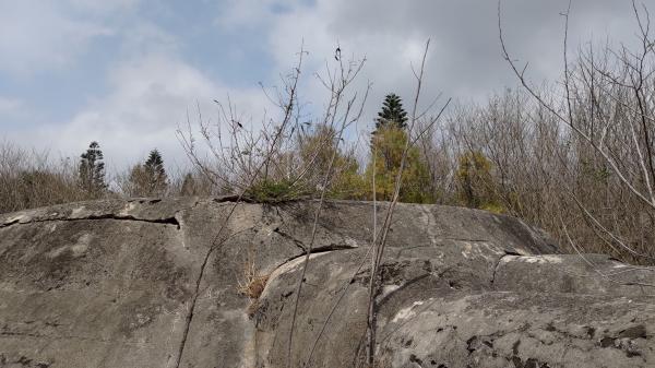 2023五德餌砲記錄