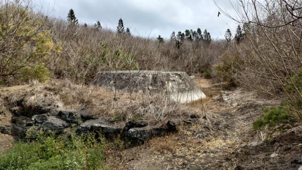 2023五德餌砲記錄