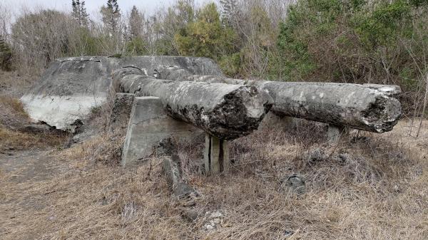 2023五德餌砲記錄