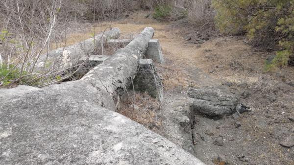 2023五德餌砲記錄