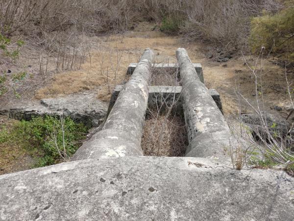 2023五德餌砲記錄