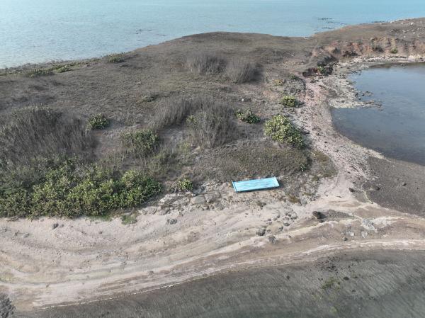 2023牛母件嶼記錄