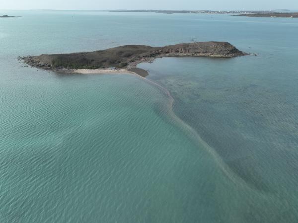 2023牛母件嶼記錄