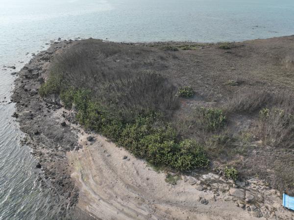 2023牛母件嶼記錄