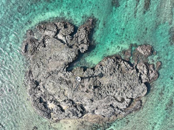 2023大燈火礁記錄