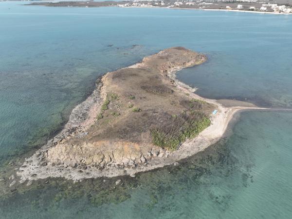 2023牛母件嶼記錄