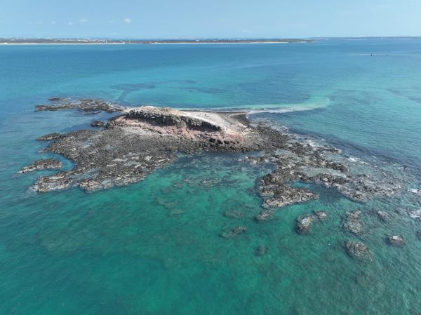 2023大白沙嶼記錄