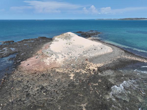 2023大白沙嶼記錄