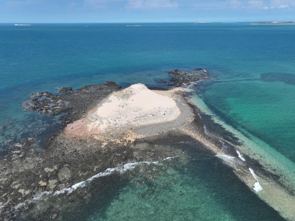 2023大白沙嶼記錄