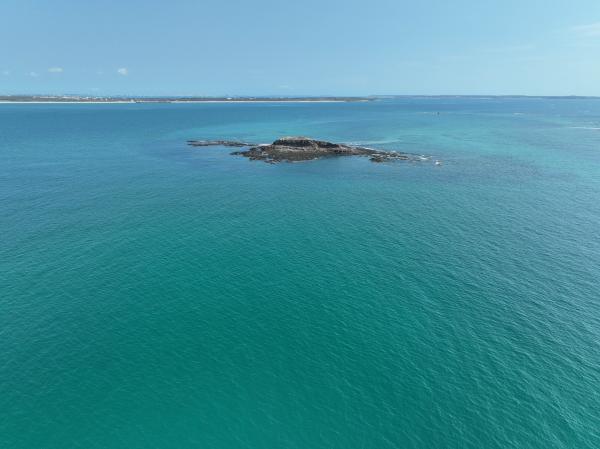 2023大白沙嶼記錄