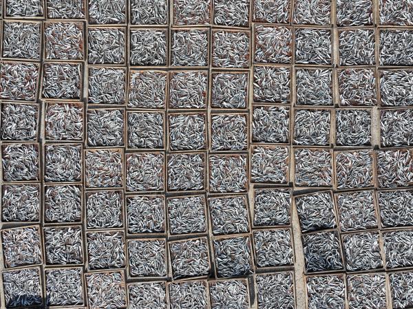 2023漁工新村記錄