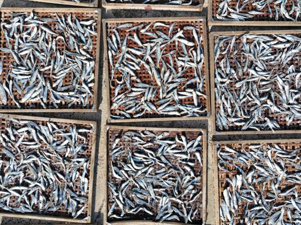 2023漁工新村記錄