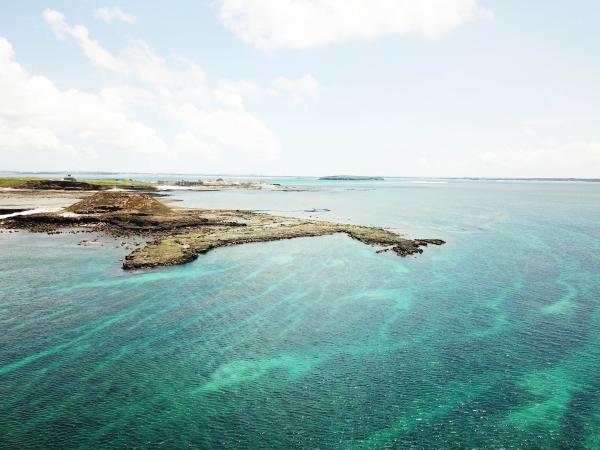 2020南面掛嶼記錄