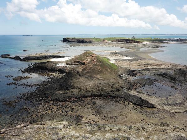 2020南面掛嶼記錄