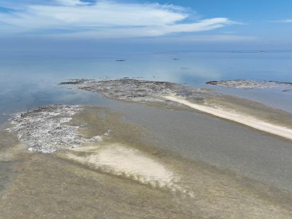 2023龍頭礁大漢礁中礁記錄