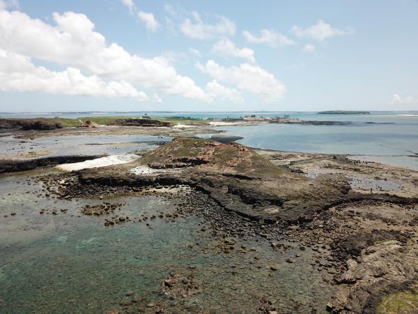 2020南面掛嶼記錄