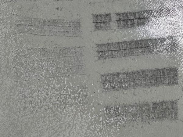 2023牡蠣養殖記錄