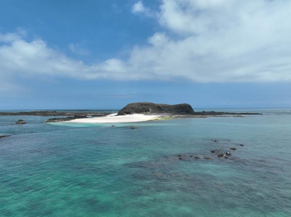 2023小白沙嶼記錄