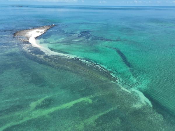 2023番黍仔尾嶼記錄