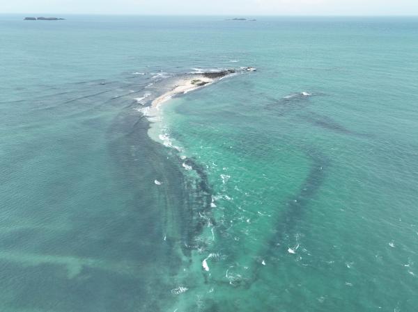 2023番黍仔尾嶼記錄