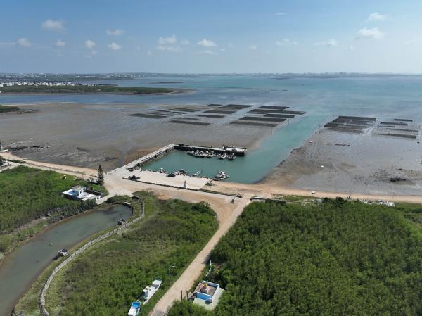 2023牡蠣養殖記錄