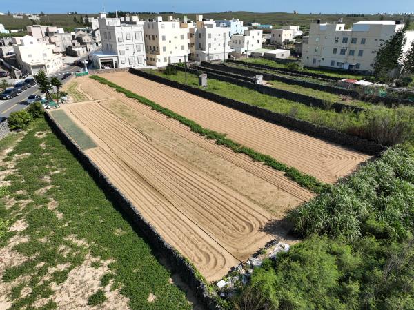 2023湖東村農田記錄