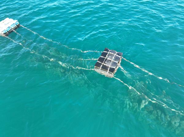 2023講美牡蠣養殖記錄