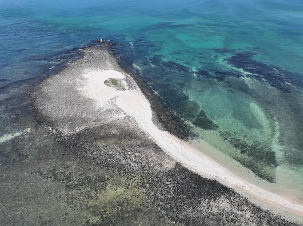 2023番黍仔尾嶼記錄