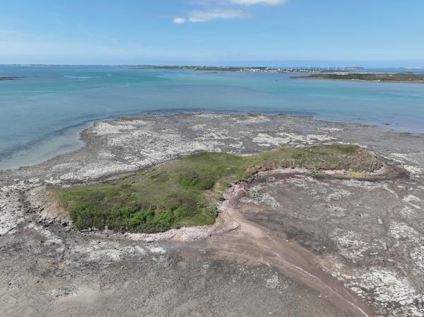 2023牛母件嶼記錄