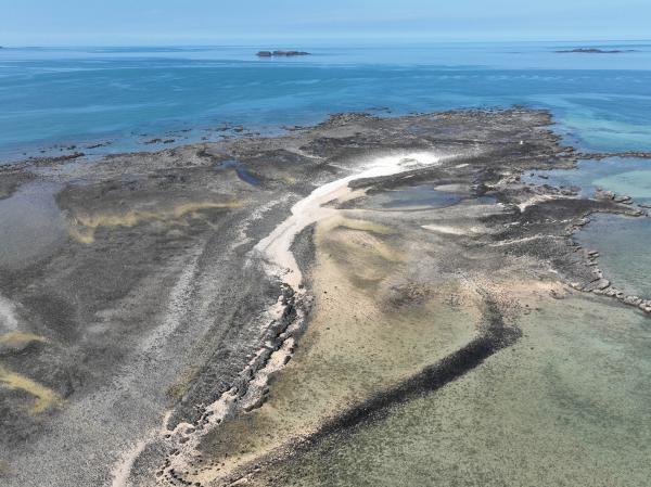 2023番黍仔尾嶼記錄