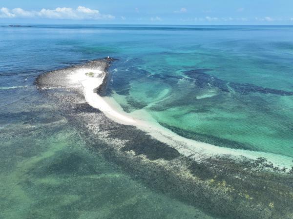 2023番黍仔尾嶼記錄