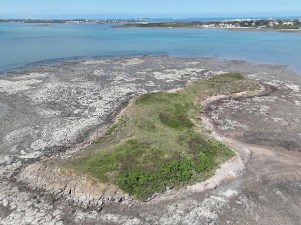 2023牛母件嶼記錄