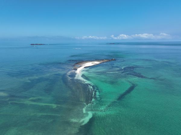 2023番黍仔尾嶼記錄