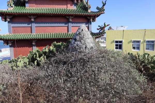 2023大尾尖頂塔記錄