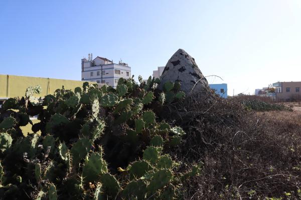 2023大尾尖頂塔記錄