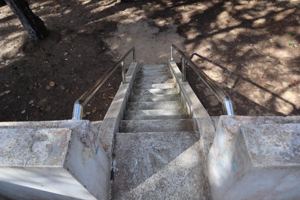 2023大象溜滑梯記錄