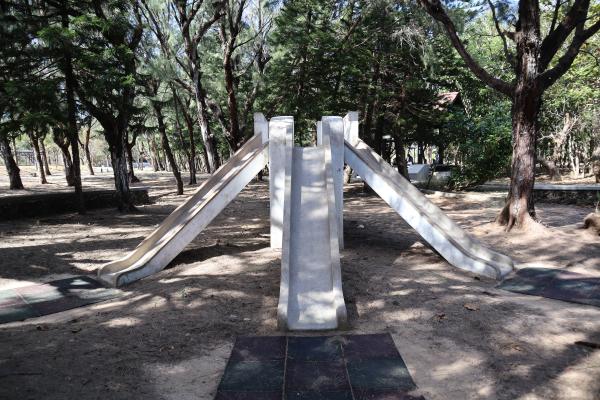 2023大象溜滑梯記錄