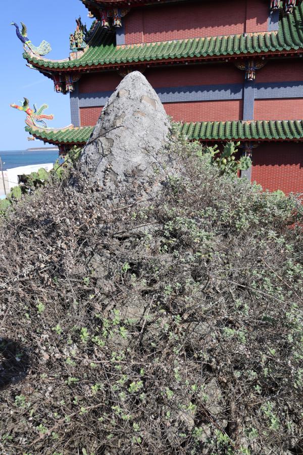 2023大尾尖頂塔記錄