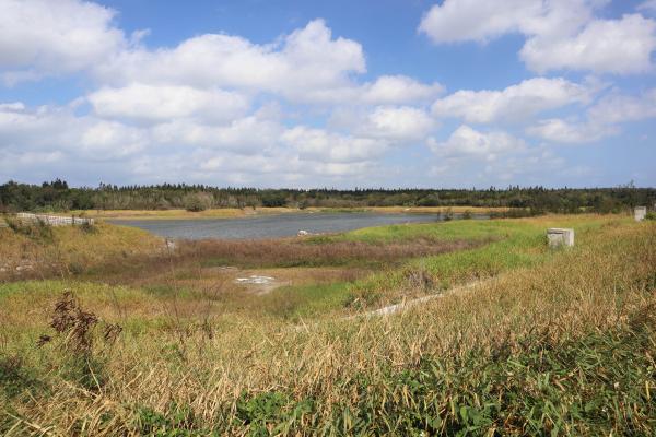 2023興仁水庫記錄