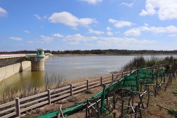 2023成功水庫記錄