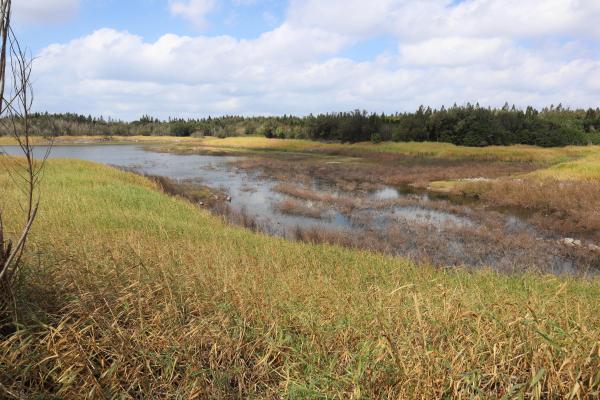 2023興仁水庫記錄