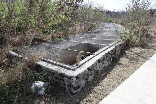 2023興仁水庫記錄