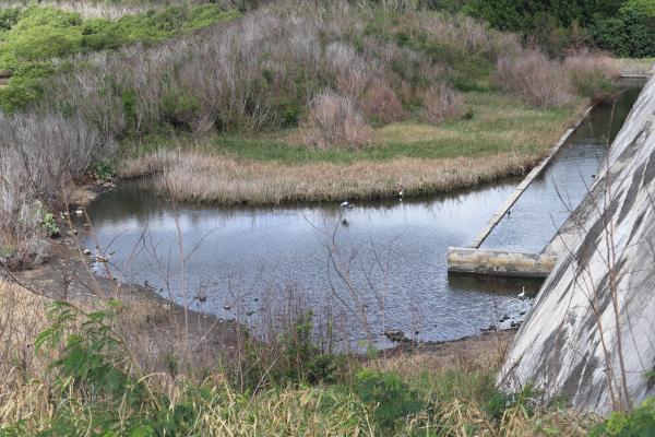 2023興仁水庫記錄