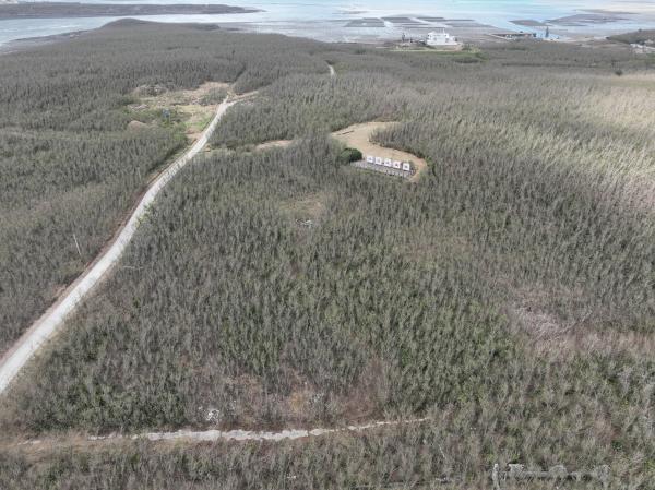 2023鎮海城址記錄