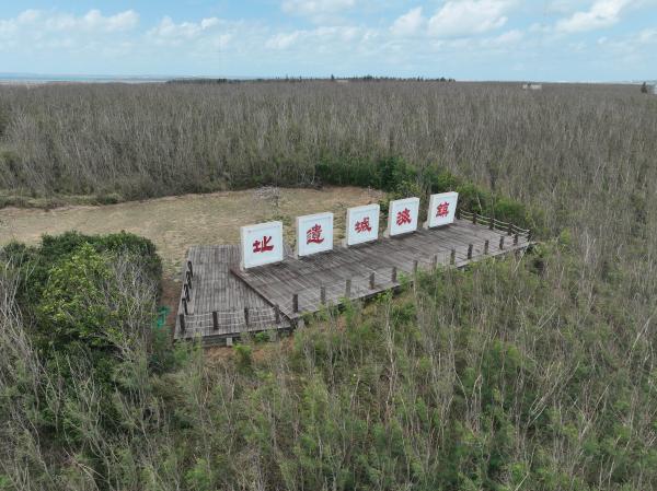 2023鎮海城址記錄