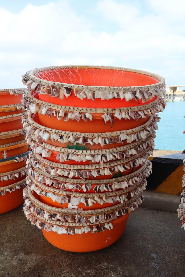 2024延繩釣鉤餌及餌料記錄