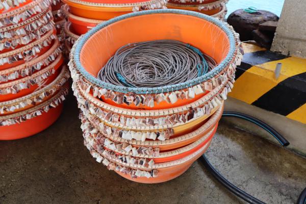 2024延繩釣鉤餌及餌料記錄