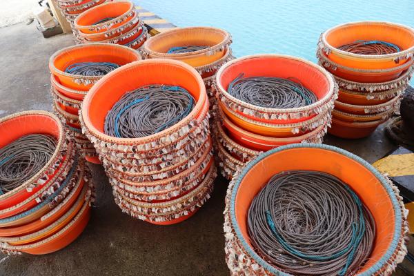 2024延繩釣鉤餌記錄