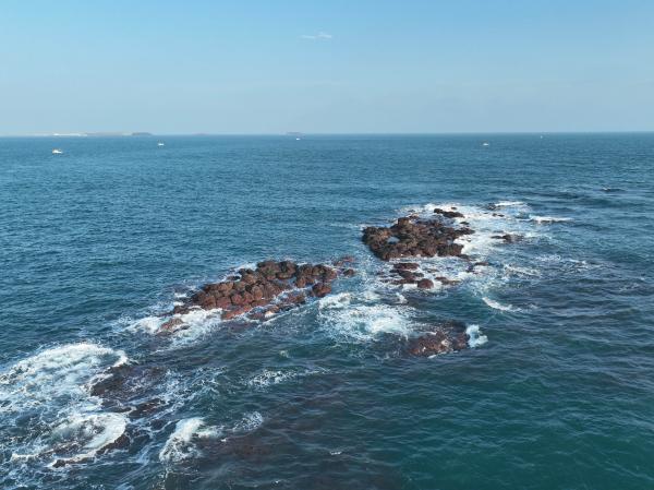 2024雞善塭（雞善礁）記錄