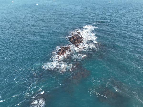 2024雞善塭（雞善礁）記錄